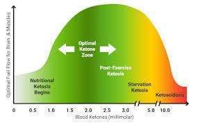 What’s the optimal ketone level for your ketogenic diet?